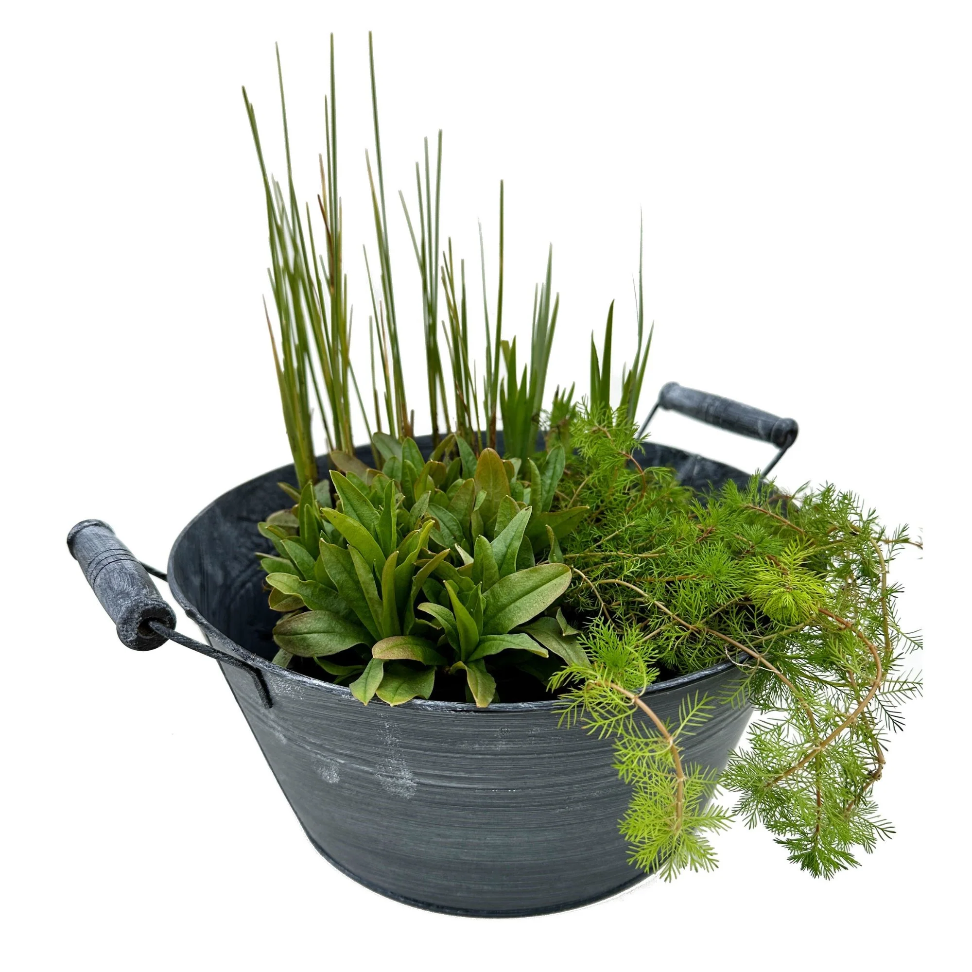 Miniteich mit Zinkwanne