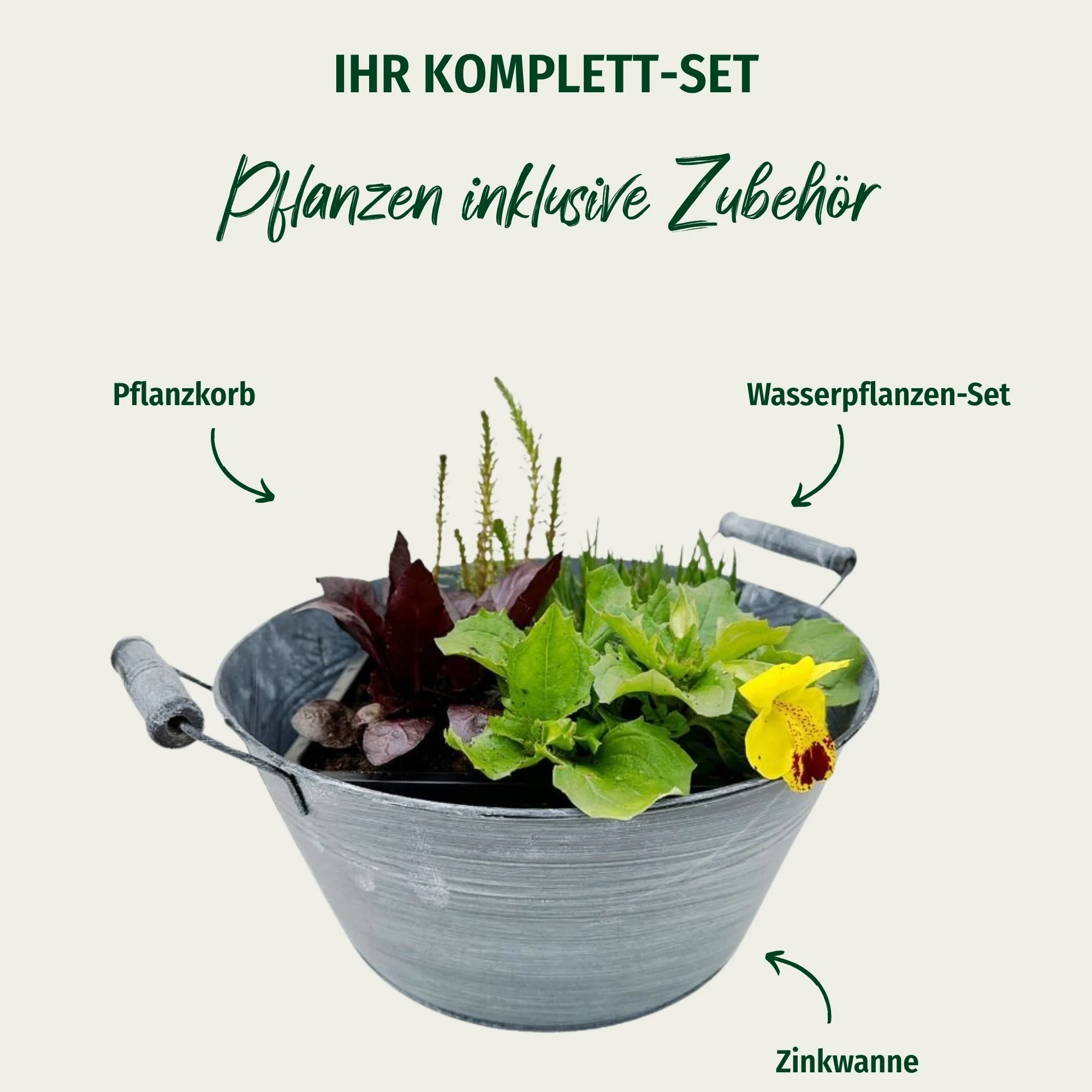 Miniteich mit Zinkwanne "Starter Set" - Image 4