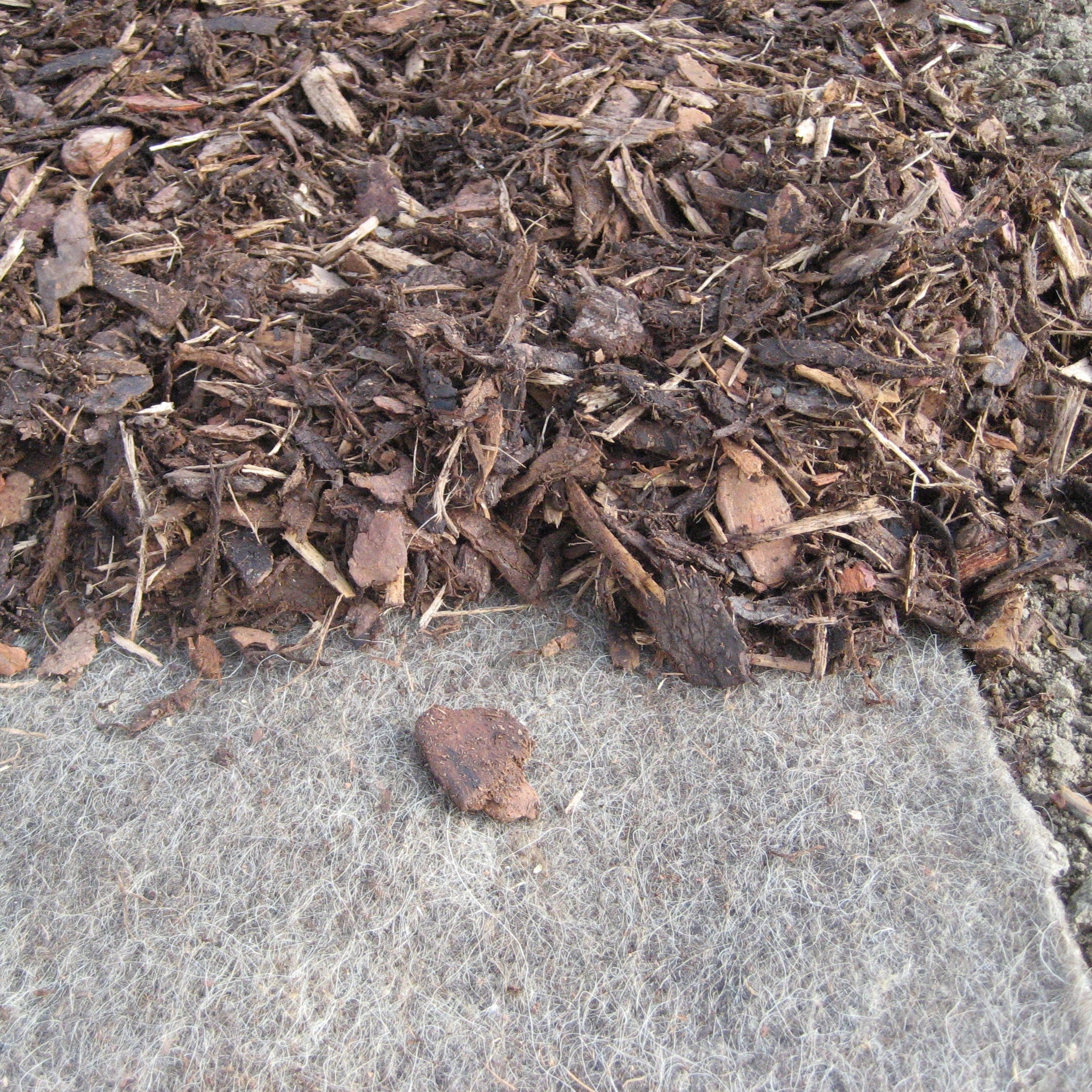 GardenWool Mulchmatte - Image 3