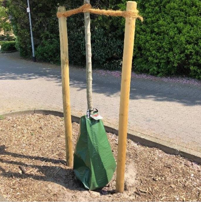Nölle Bewässerungssack - Image 3