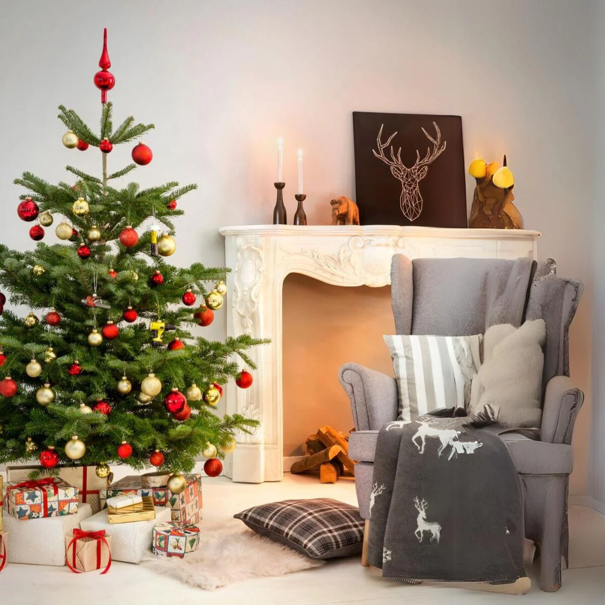 Weihnachtsbaum Nordmanntanne S | ca. 80 – 100 cm - Image 4