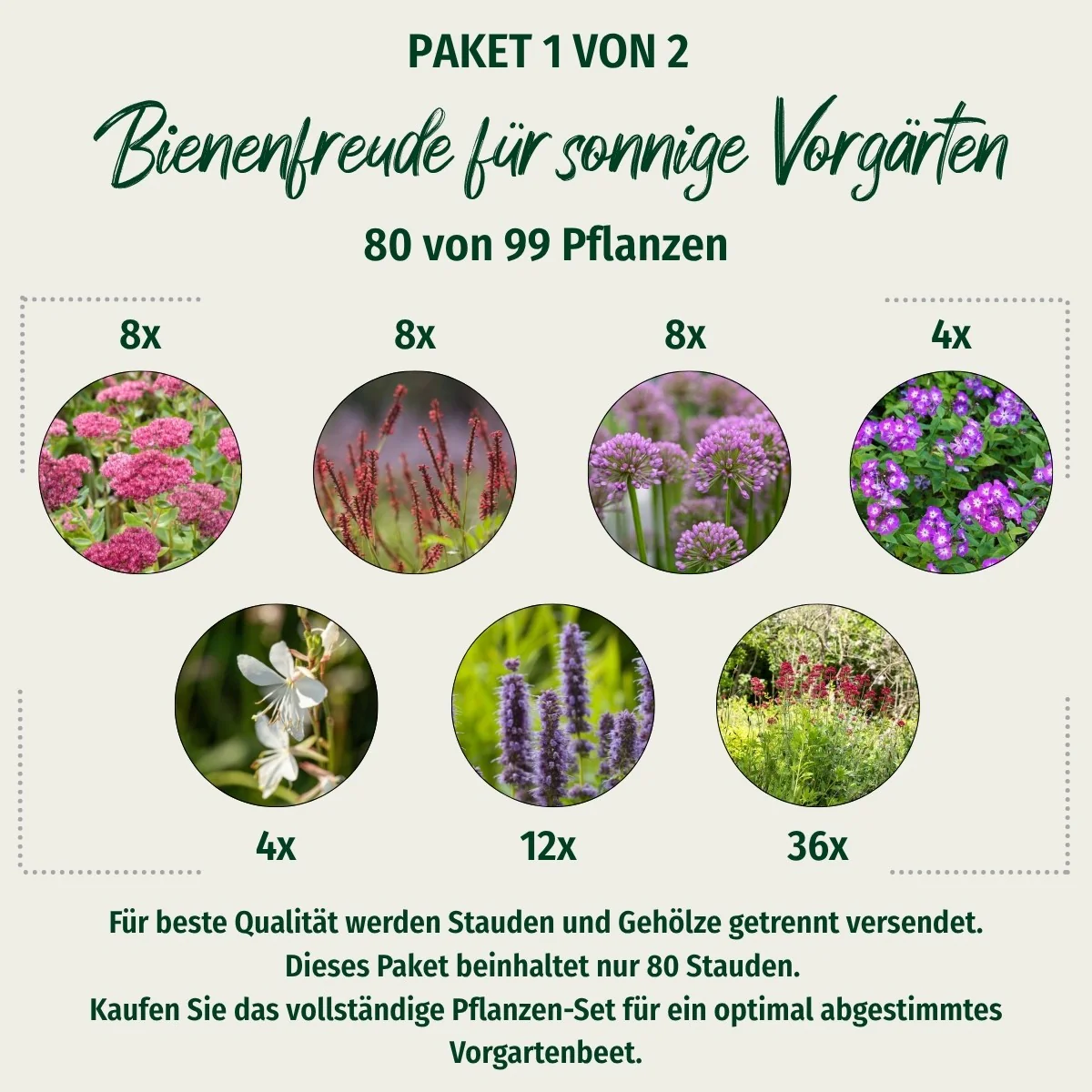 Paket 1 von 2 "Bienenfreude für sonnige Vorgärten"
