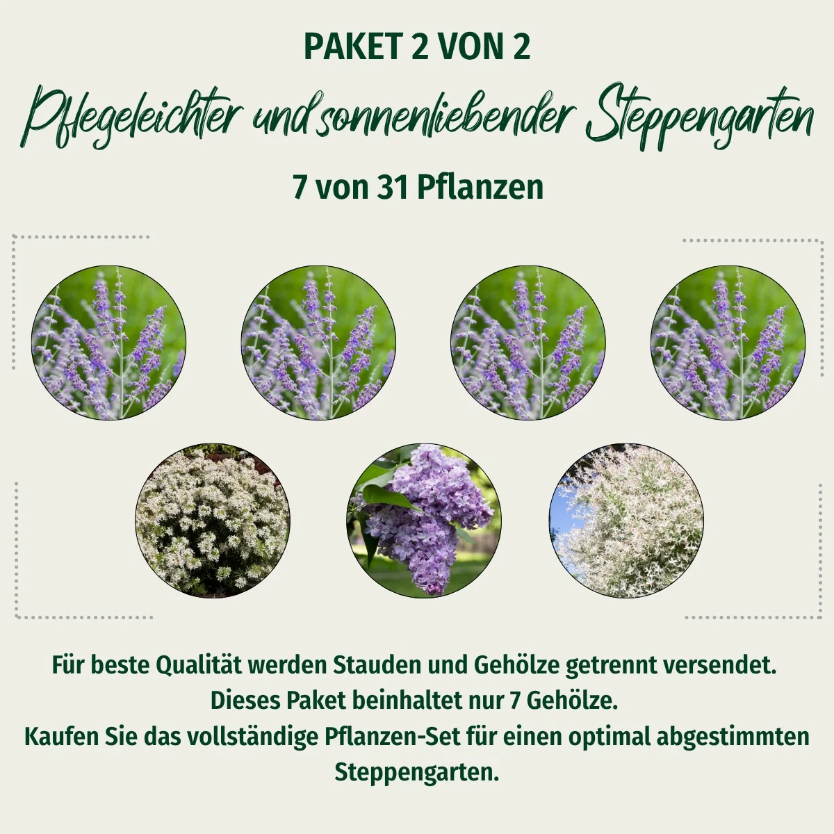 Paket 2 von 2 "Pflegeleichter und sonnenliebender Steppengarten"