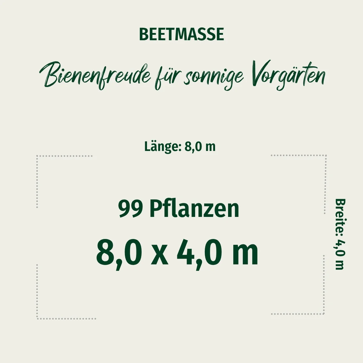 Pflanzen-Set "Bienenfreude für sonnige Vorgärten" - Image 2