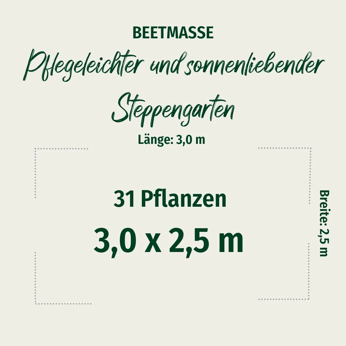 Pflanzen-Set "Pflegeleichter und sonnenliebender Steppengarten" - Image 2
