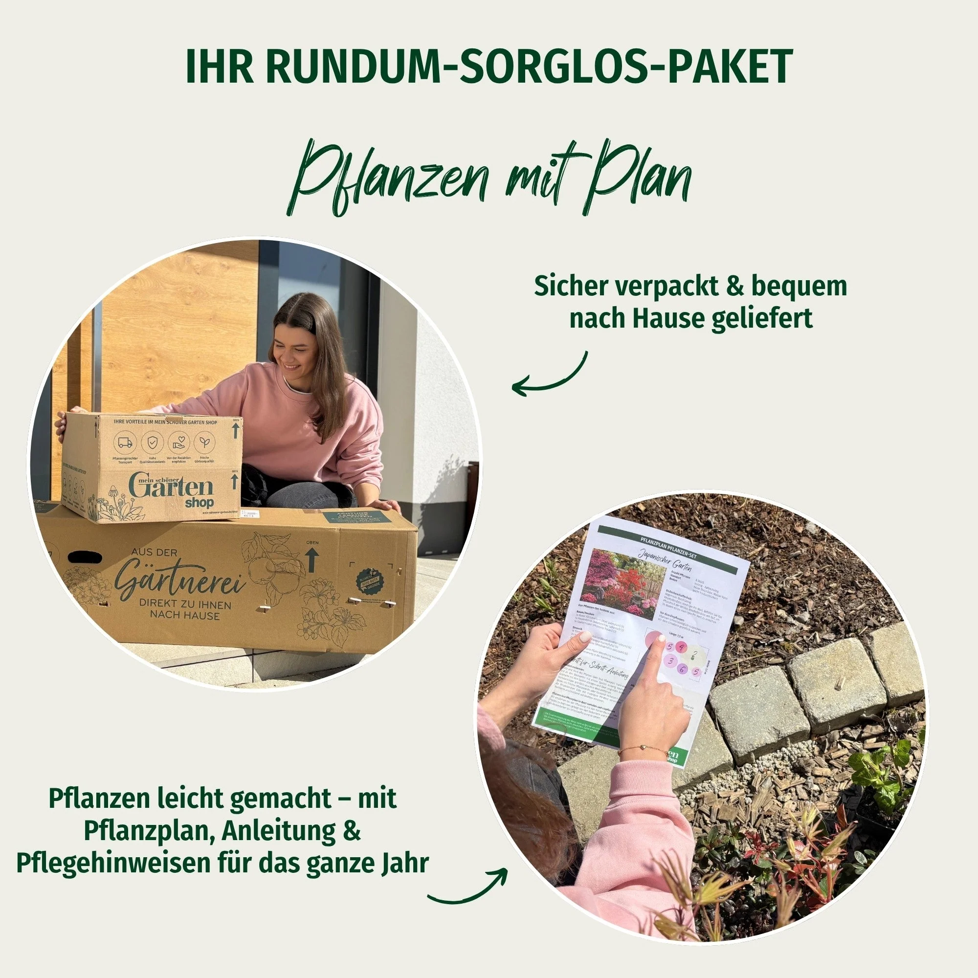 Pflanzen-Set "Pflegeleichter und sonnenliebender Steppengarten" - Image 4