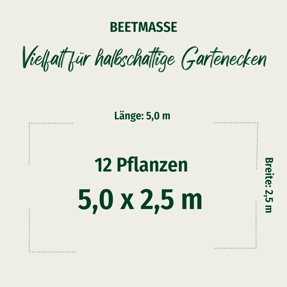 Pflanzen-Set “Vielfalt für halbschattige Gartenecken" - Image 3