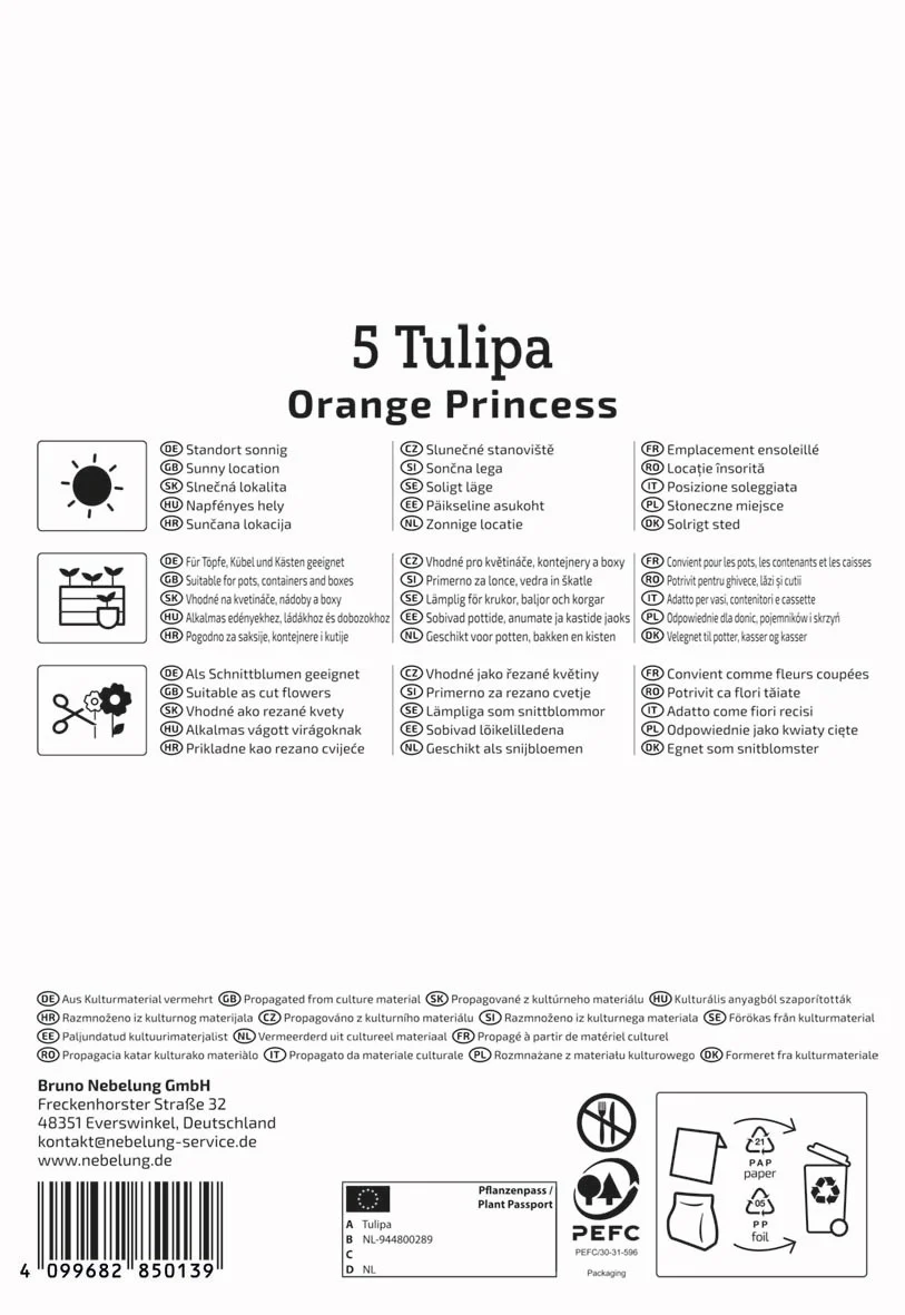 Profi-Line Gefüllte späte Tulpe 'Orange Princess', 5 Zwiebeln - Image 2