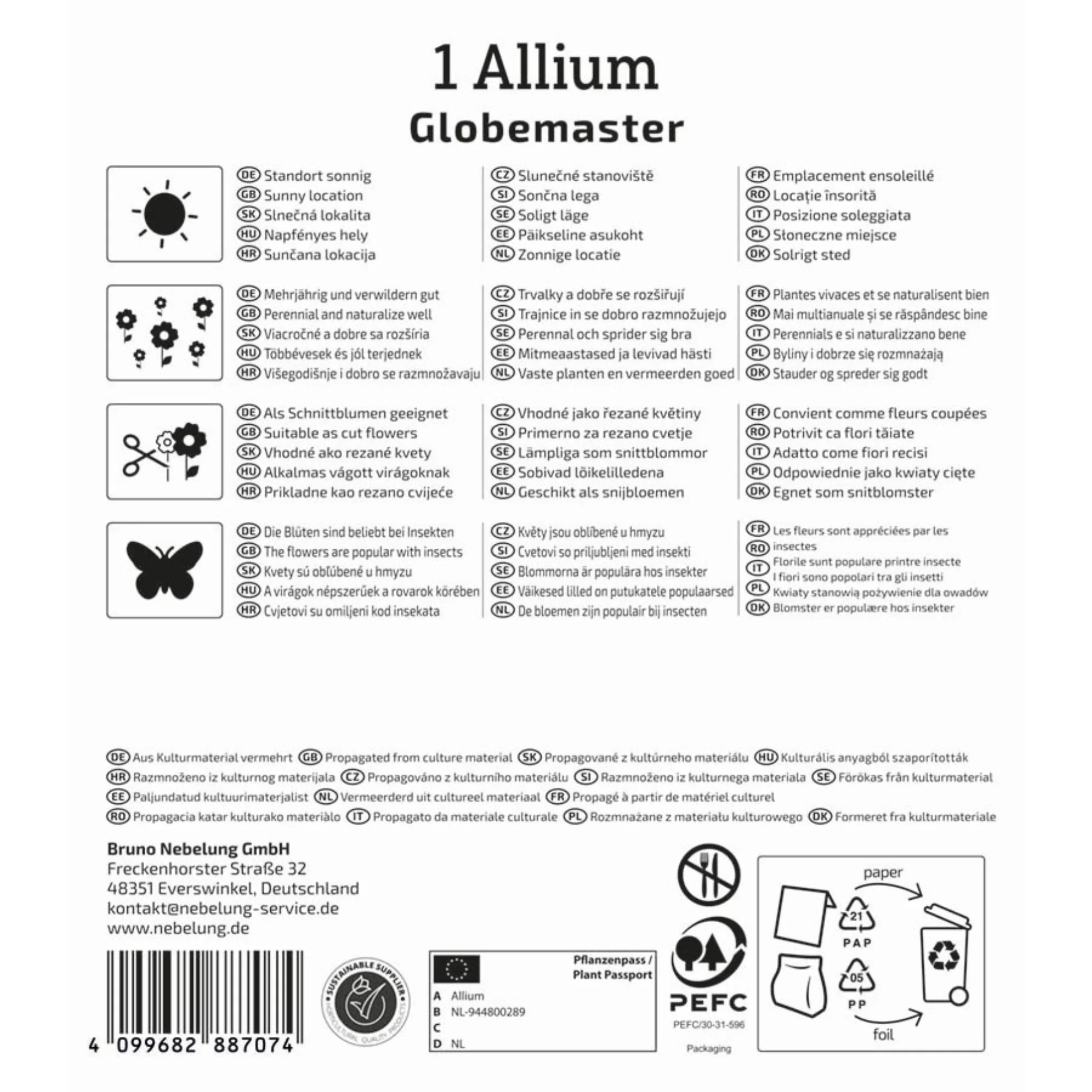 Profi-Line Zierlauch 'Globemaster', 1 Zwiebel - Image 2