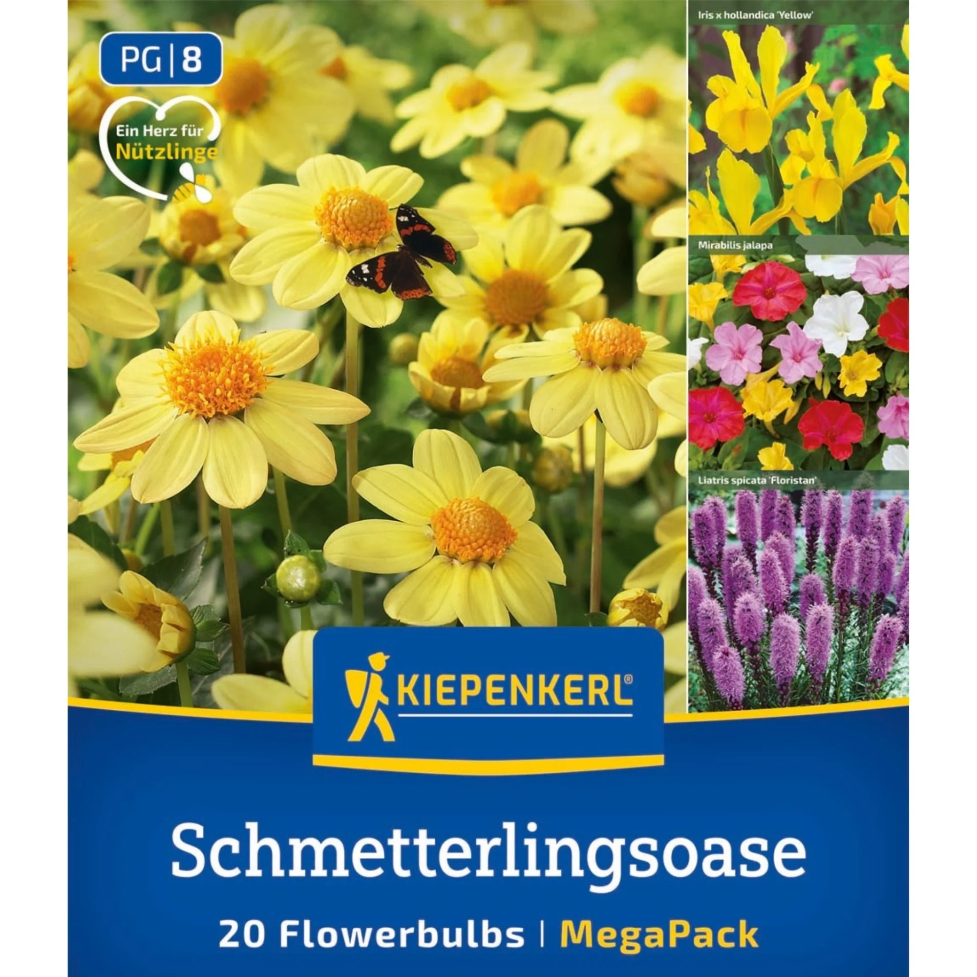 Kiepenkerl Mega-Pack Blumenzwiebelmischung 'Schmetterlings-Oase', 20 Zwiebeln