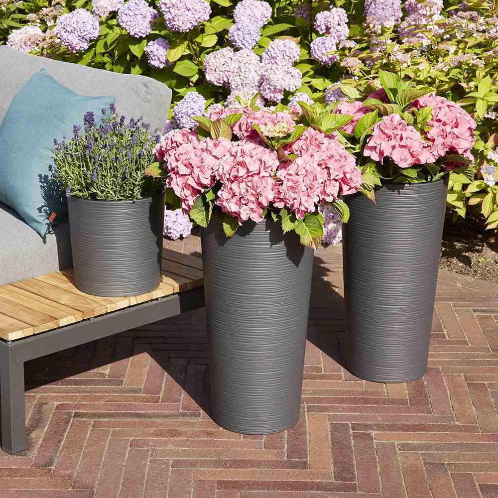 SIENA GARDEN Blumentopf 'Locon Groove' - Image 7
