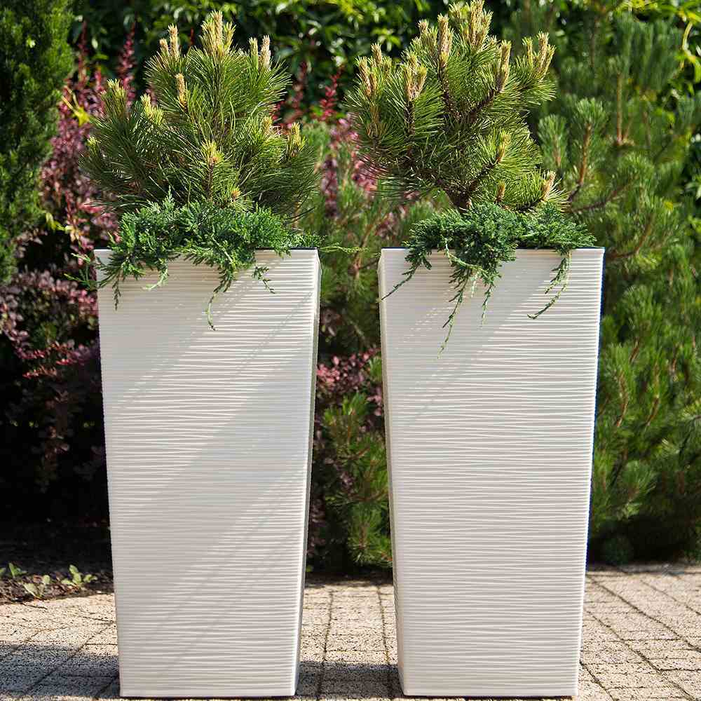 SIENA GARDEN Blumentopf 'Nizza Groove' - Image 100
