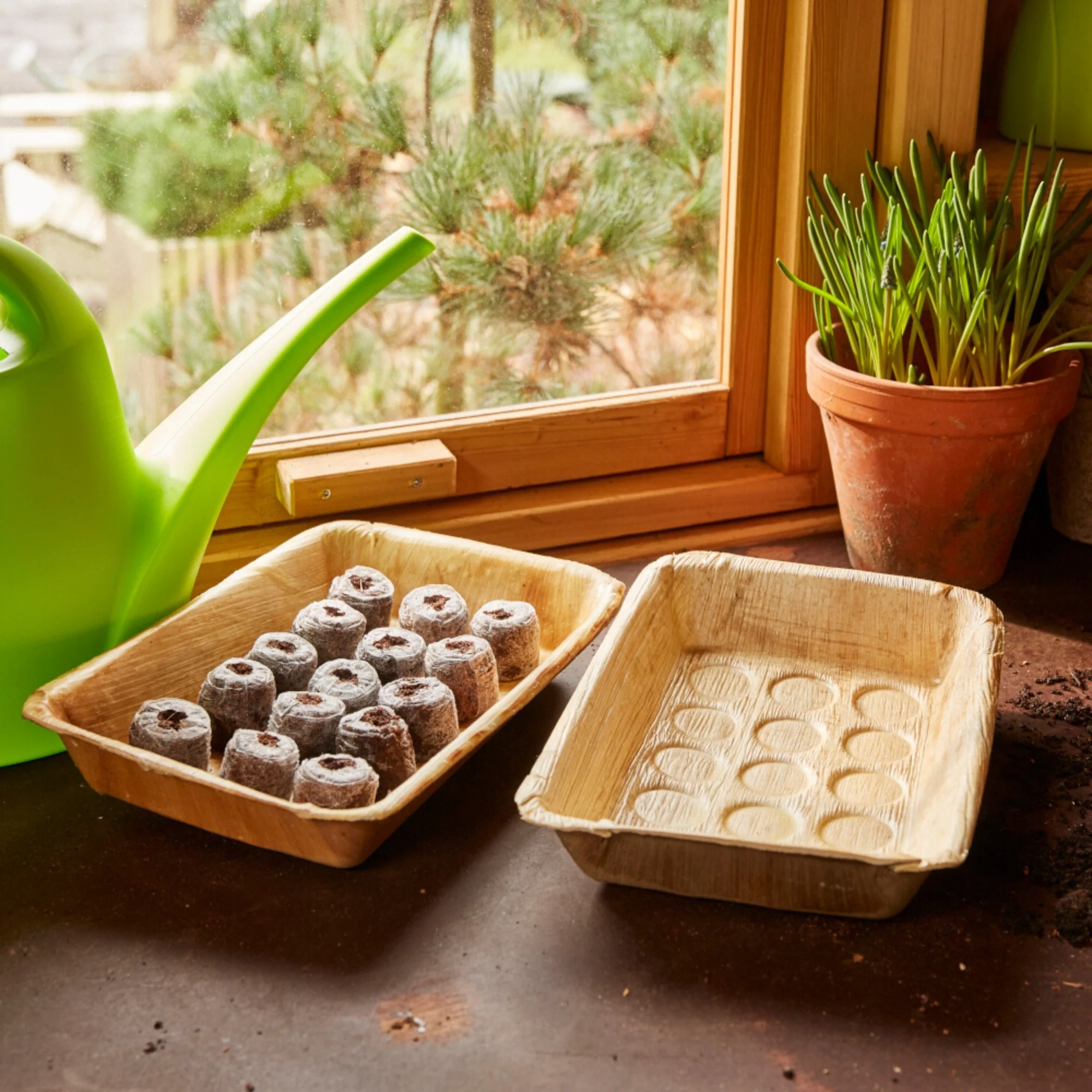 SIENA GARDEN Kokos-Quelltabletten - Image 3