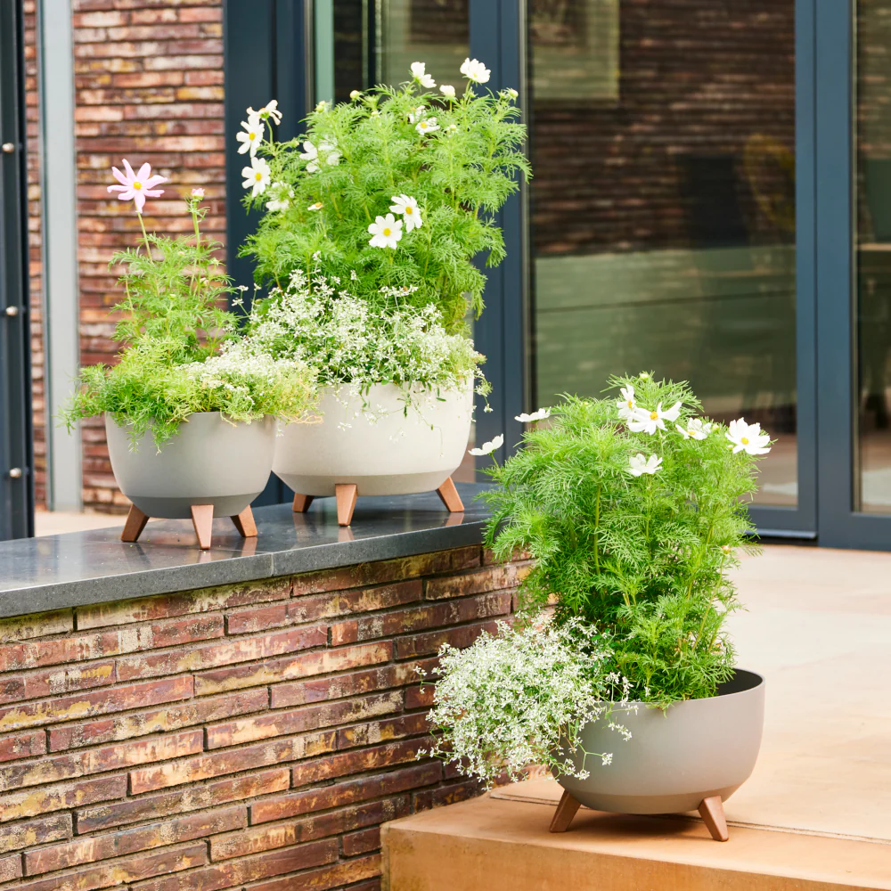 SIENA GARDEN Pflanzgefäß 'Oslo' - Image 42