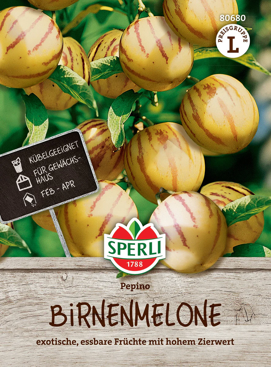 SPERLI Birnenmelonen-Samen 'Pepino'