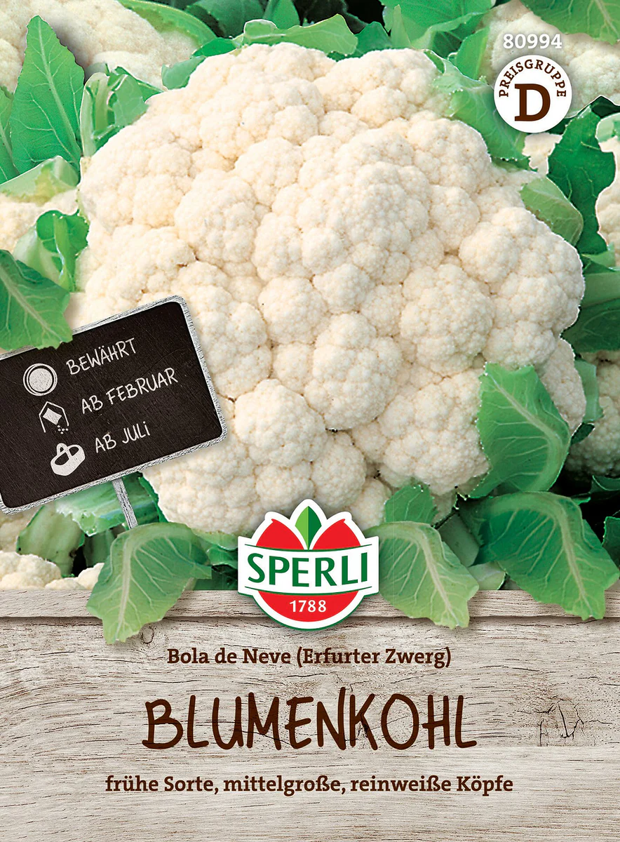 SPERLI Blumenkohl-Samen 'Bola de Neve'(Erfurter Zwerg)