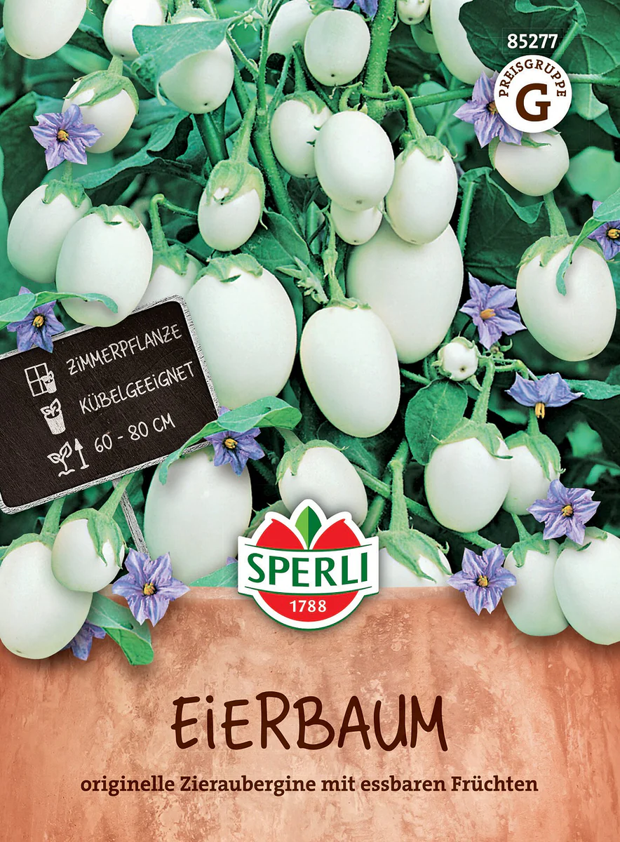 SPERLI Eierbaum-Samen