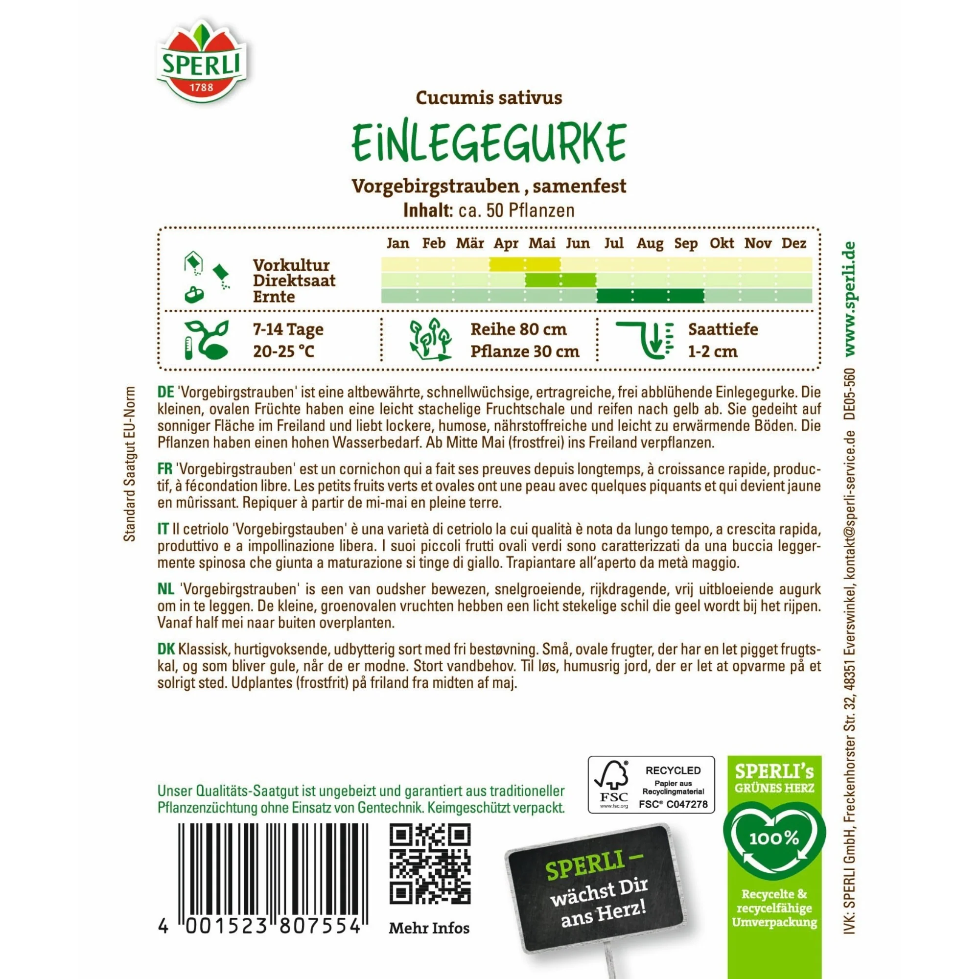 SPERLI Einlegegurken-Samen 'Vorgebirgstrauben' - Image 2