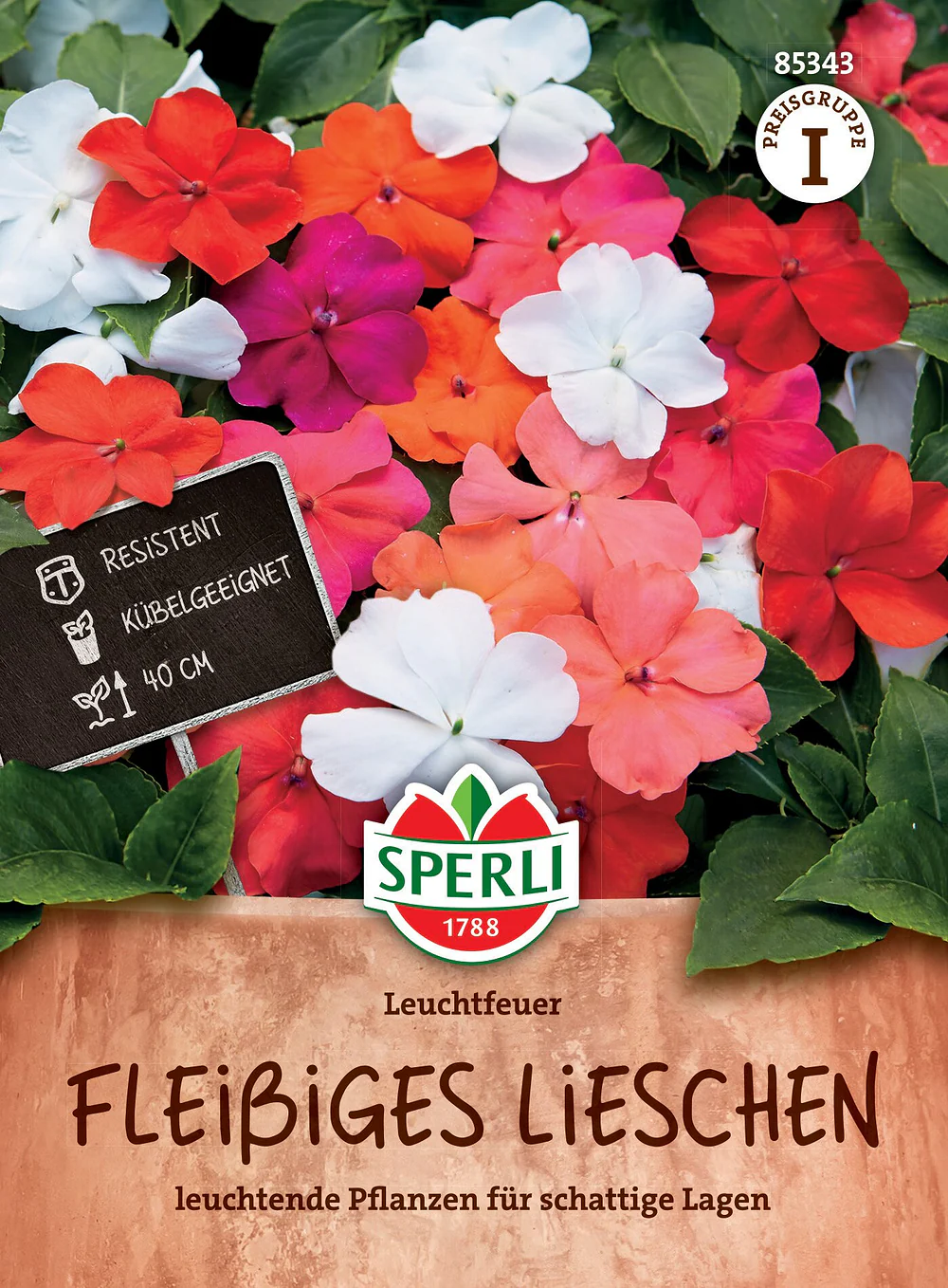 SPERLI Fleißiges Lieschen-Samen 'Leuchtfeuer'