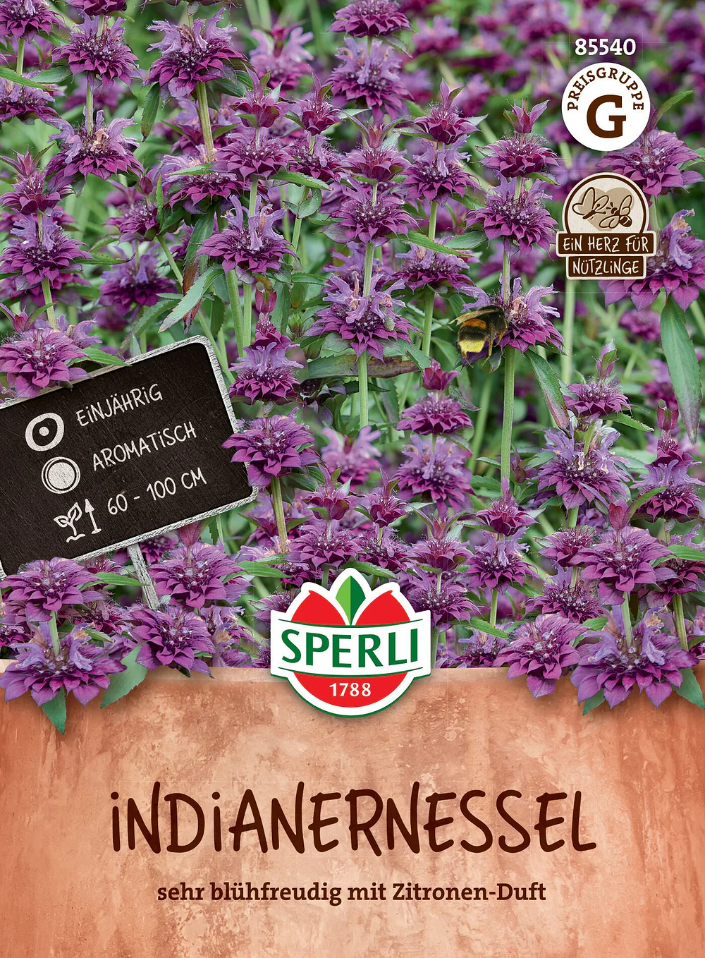 SPERLI Indianernessel-Samen