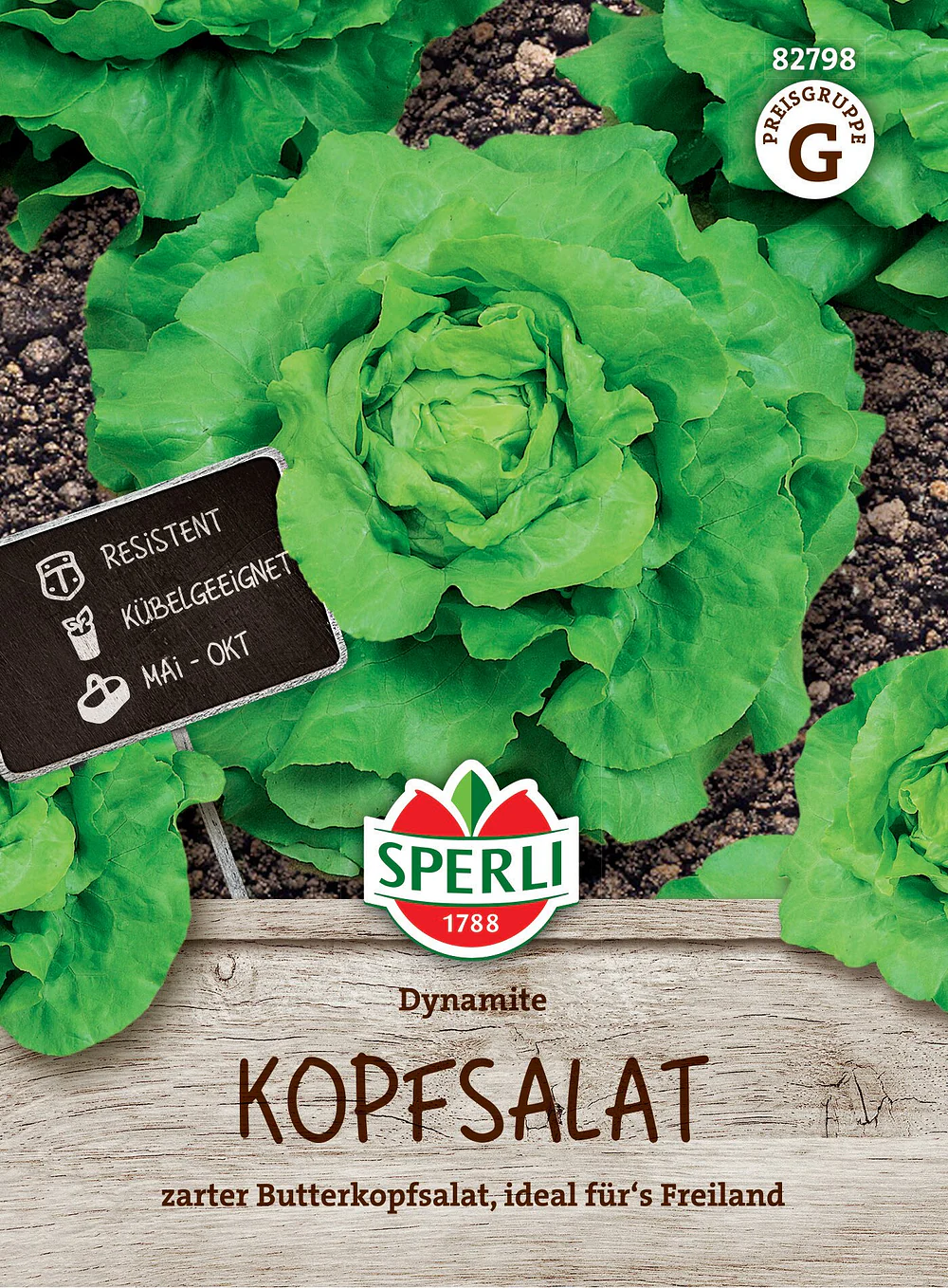 SPERLI Kopfsalat-Samen 'Dynamite'