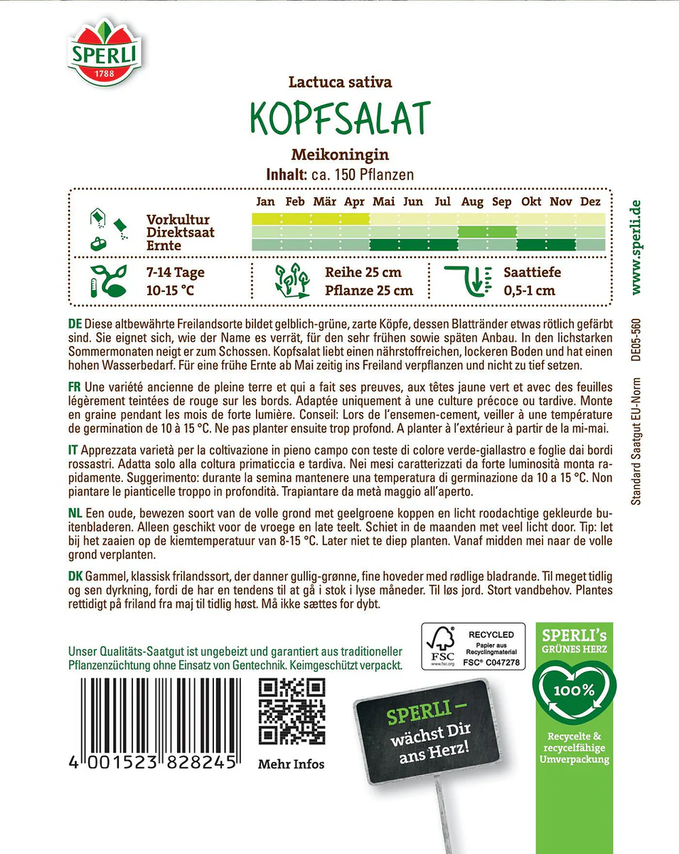 SPERLI Kopfsalat-Samen 'Meikoningin' - Image 2