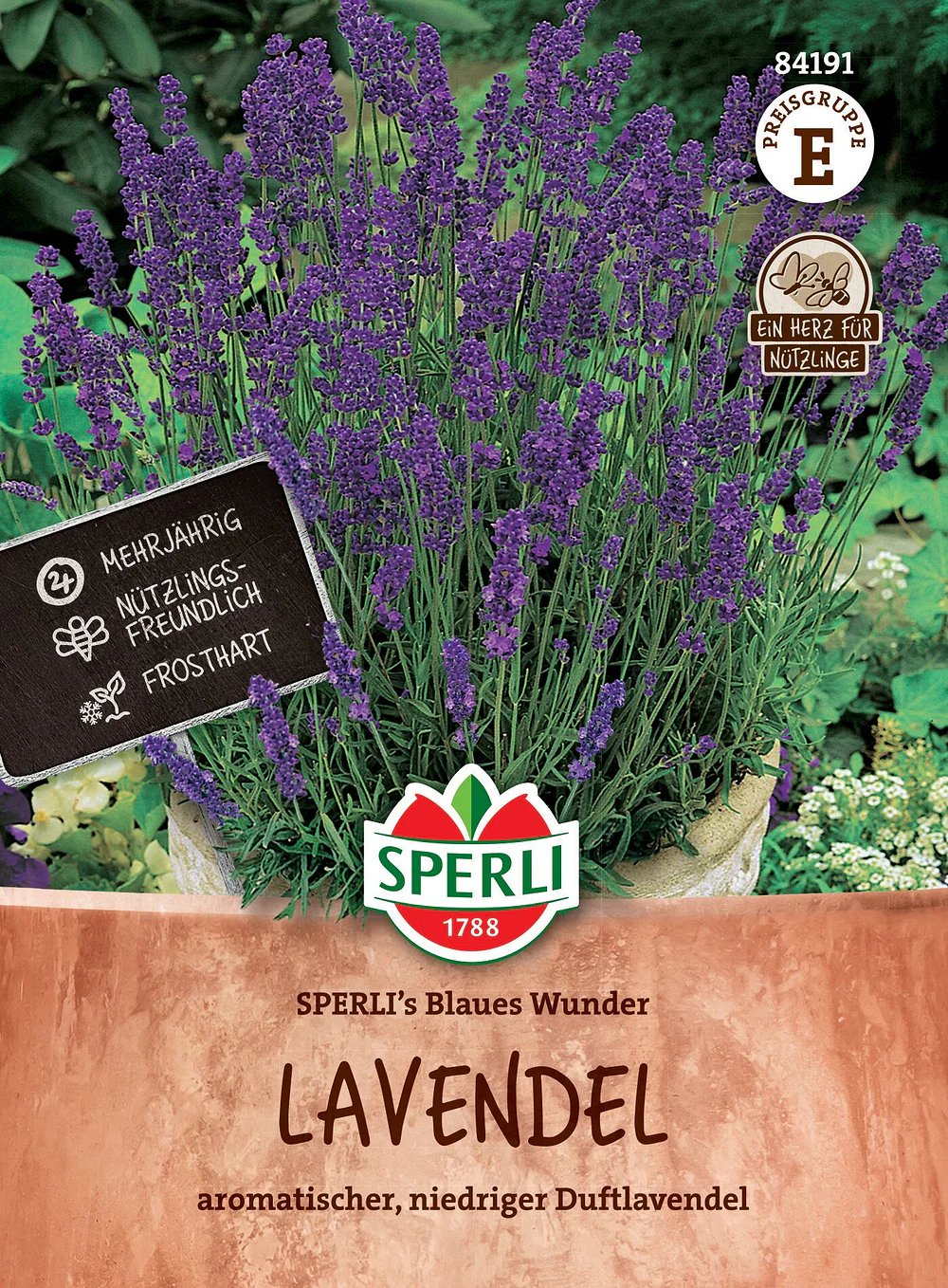 SPERLI Lavendel-Samen 'Blaues Wunder'