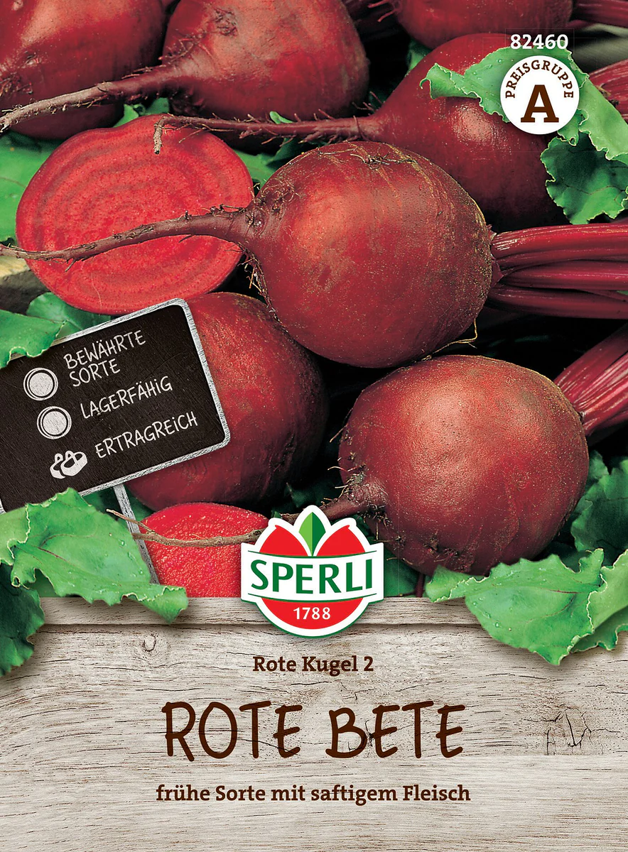 SPERLI Rote Bete-Samen 'Rote Kugel 2'