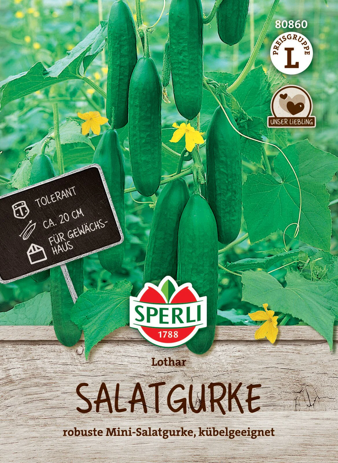 SPERLI Salatgurke-Samen 'Lothar', F1