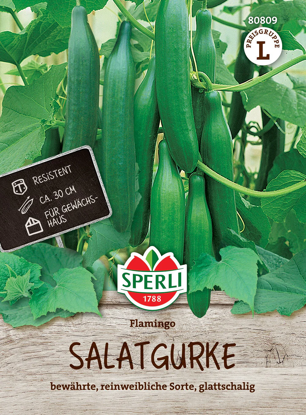 SPERLI Salatgurken-Samen 'Flamingo', F1