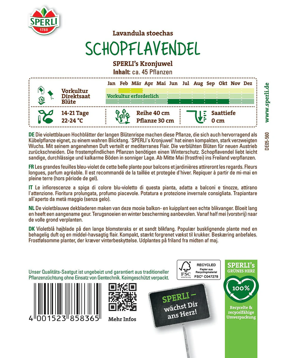 SPERLI Schopflavendel-Samen 'Kronjuwel' - Image 2