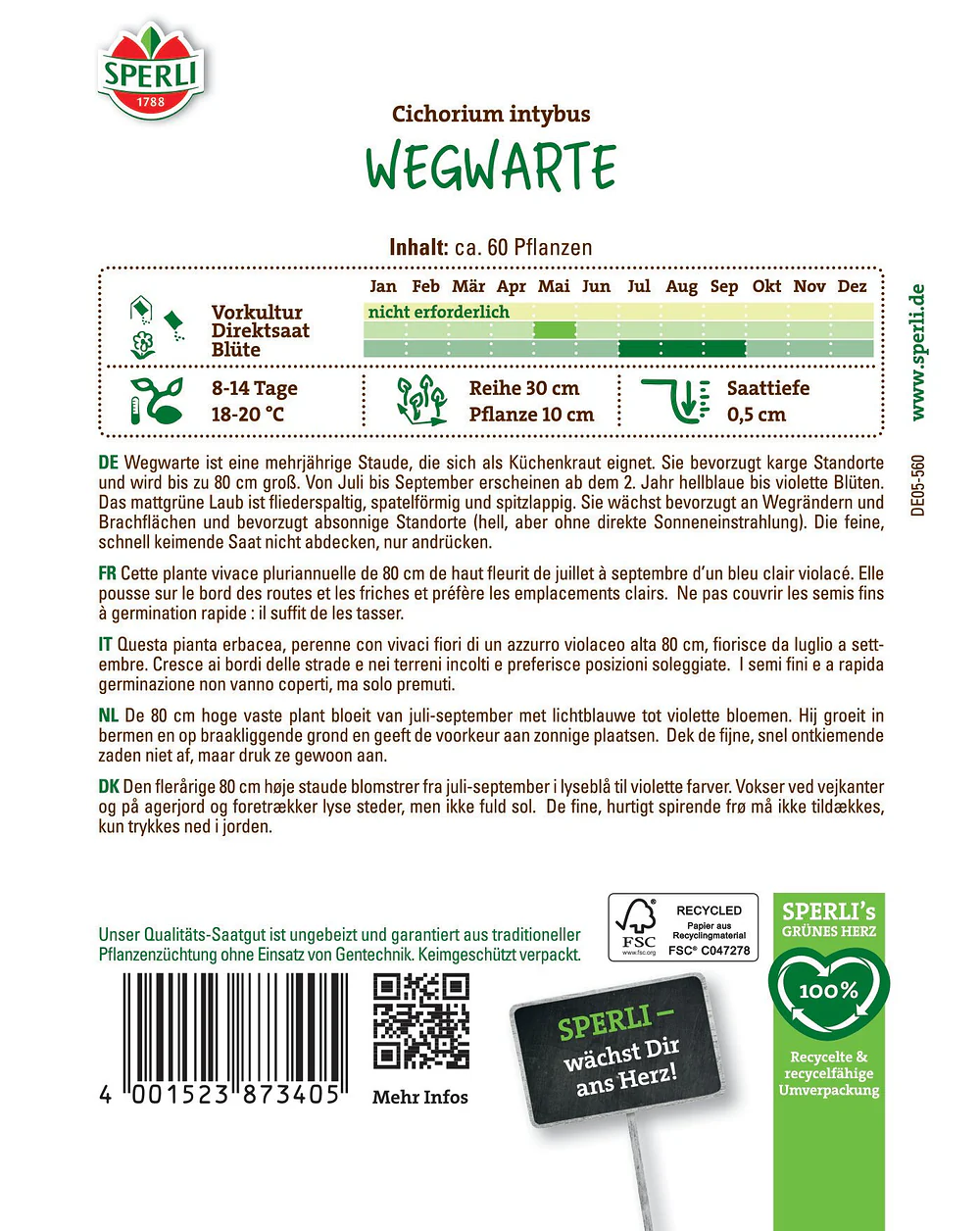 SPERLI Wegwarten-Samen - Image 2