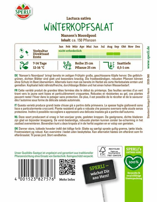 SPERLI Winterkopfsalat-Samen 'Nansen's Noordpool' - Image 2