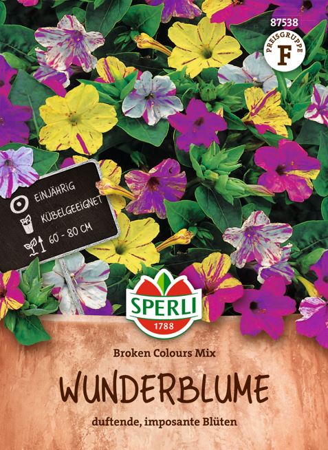 SPERLI Wunderblumen-Samen 'Broken Colours Mix'