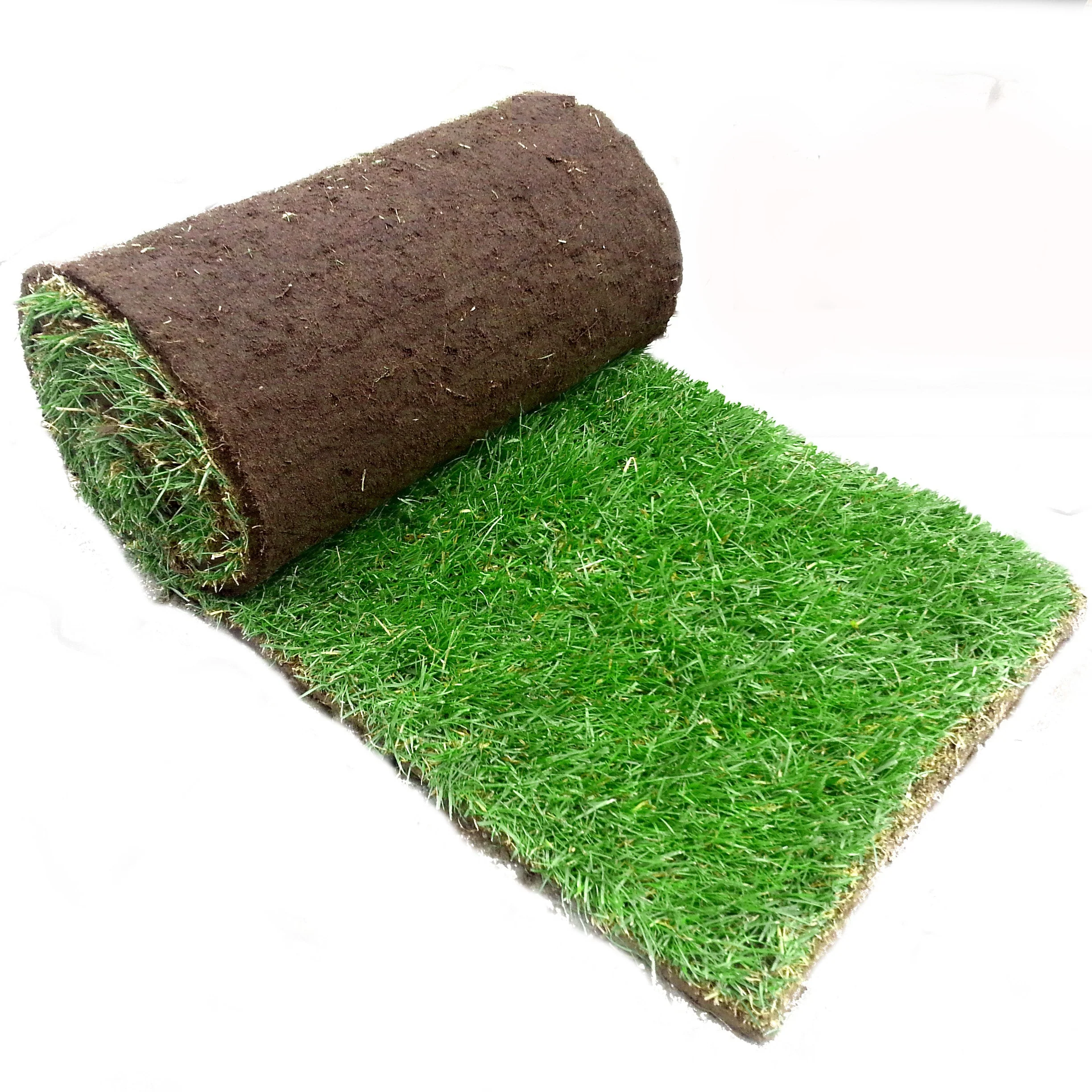 Rollrasen Sport & Spiel - Image 3