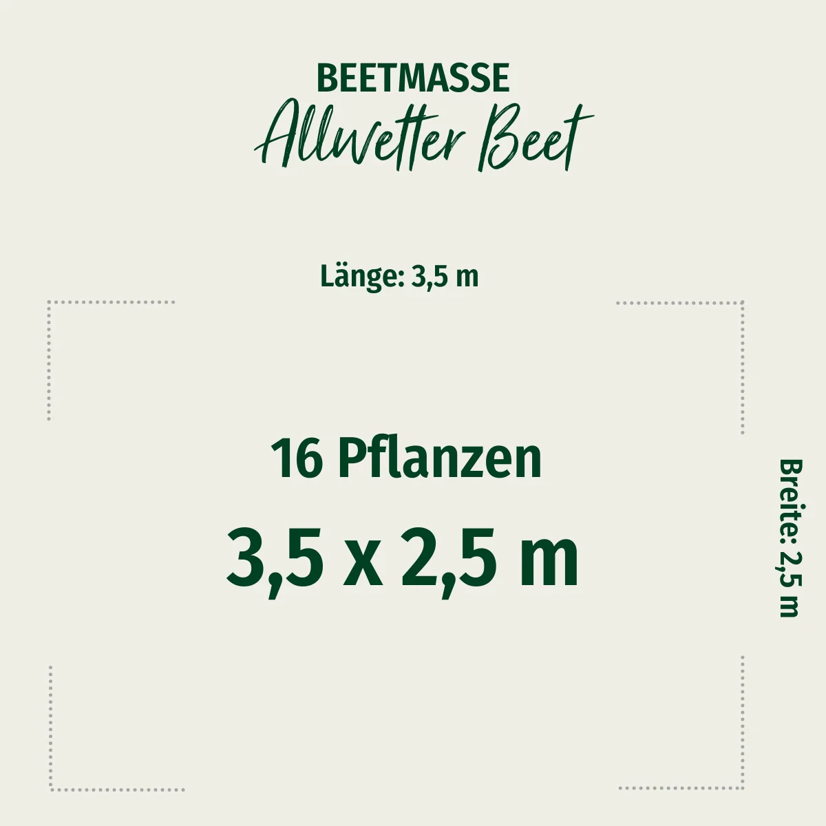 Staudenbeet "Allwetter-Beet" - Image 2