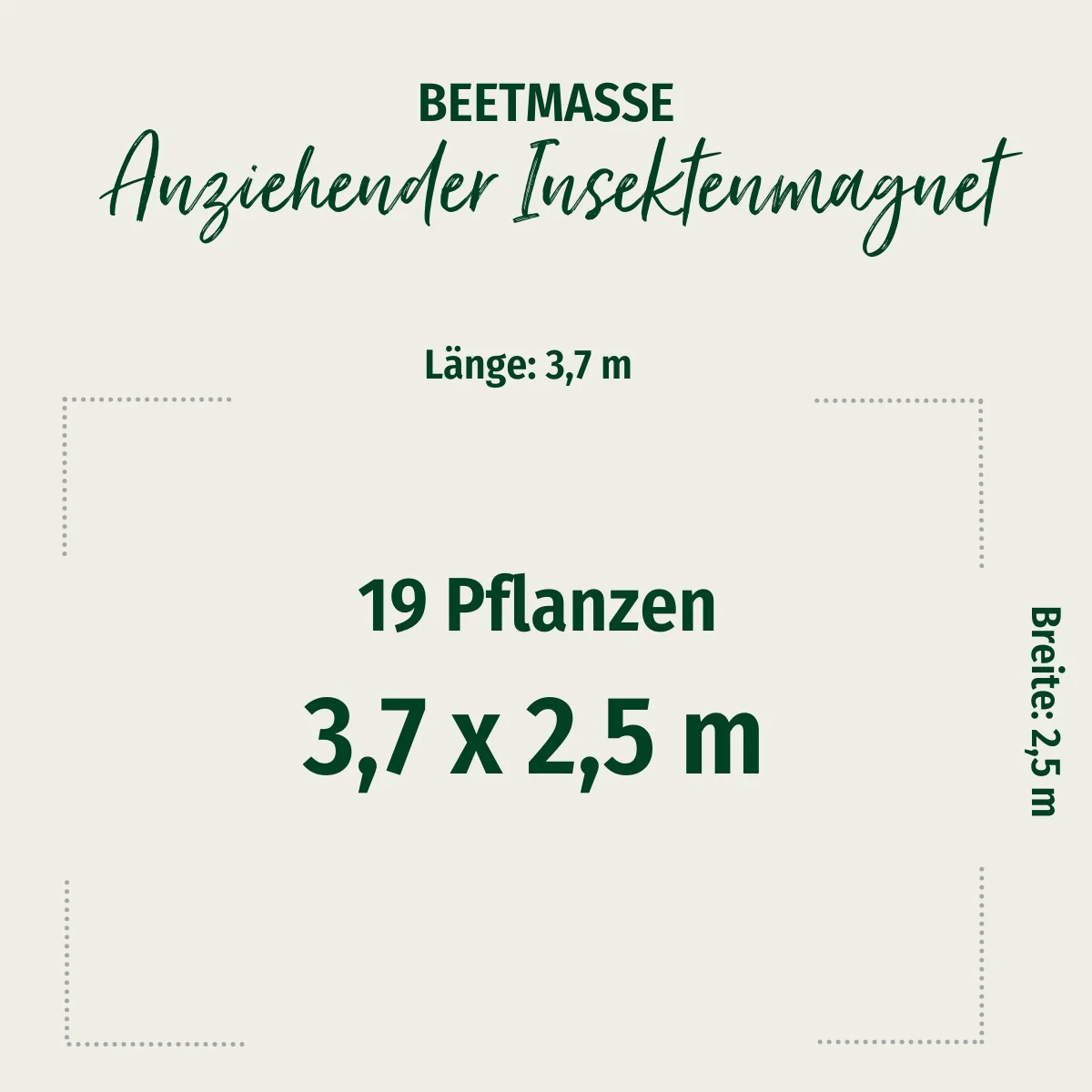 Staudenbeet "Anziehender Insektenmagnet" - Image 2