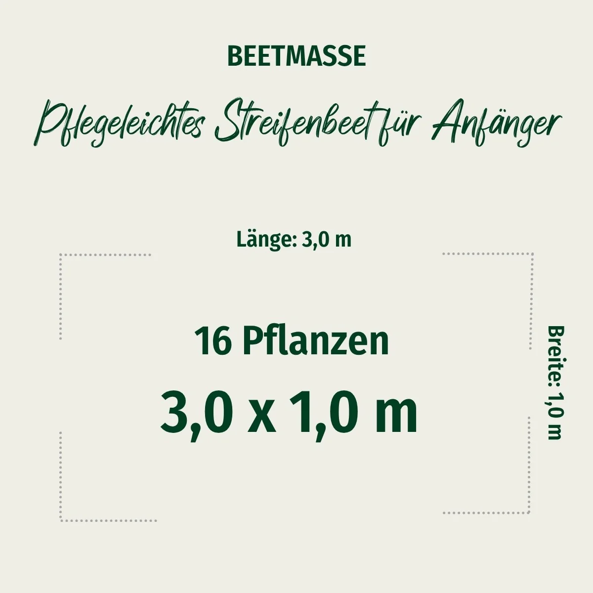 Staudenbeet "Pflegeleichtes Streifenbeet für Anfänger" - Image 2