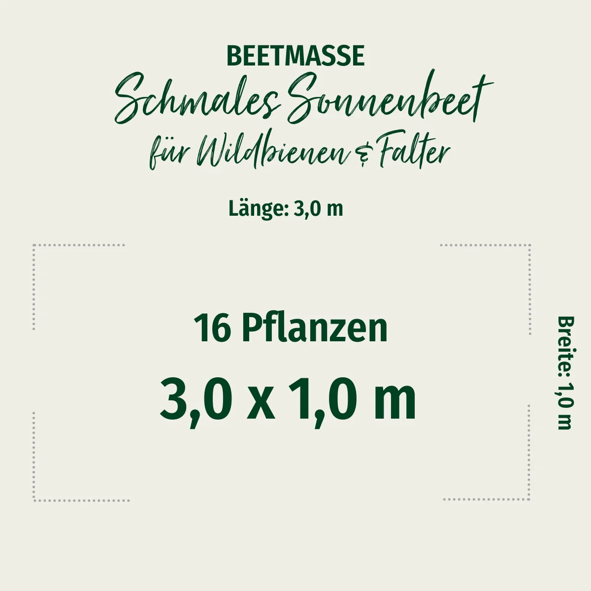 Staudenbeet "Schmales Sonnenbeet für Wildbienen und Falter" - Image 2