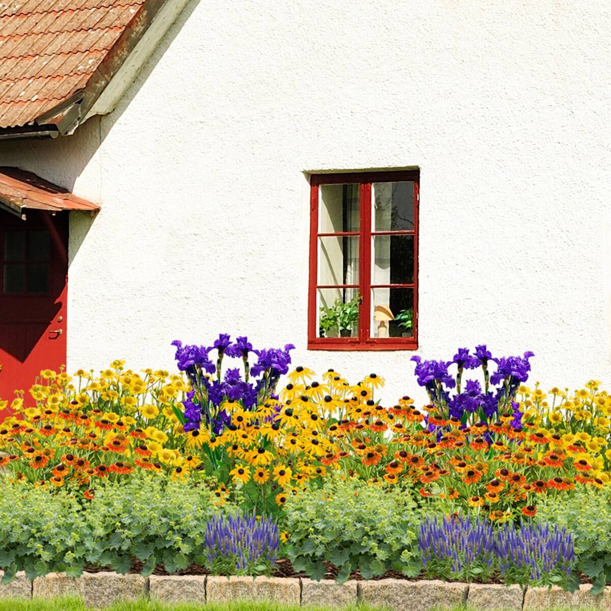 Staudenbeet "Sonniger Bauerngarten"