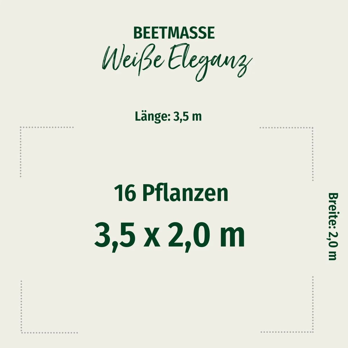 Staudenbeet "Weiße Eleganz" - Image 2