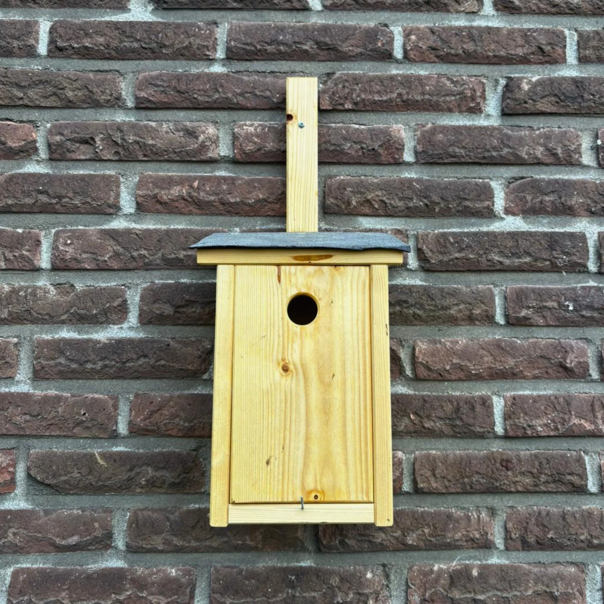 Vorschaubild 1