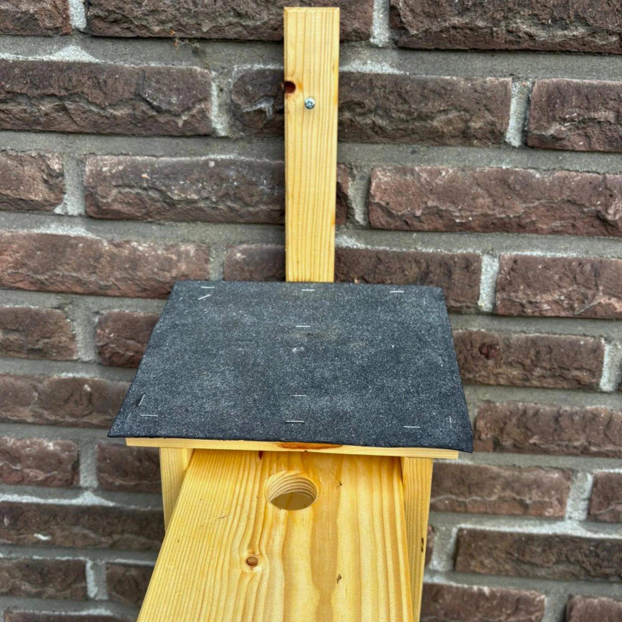 Vogelhaus - Image 4