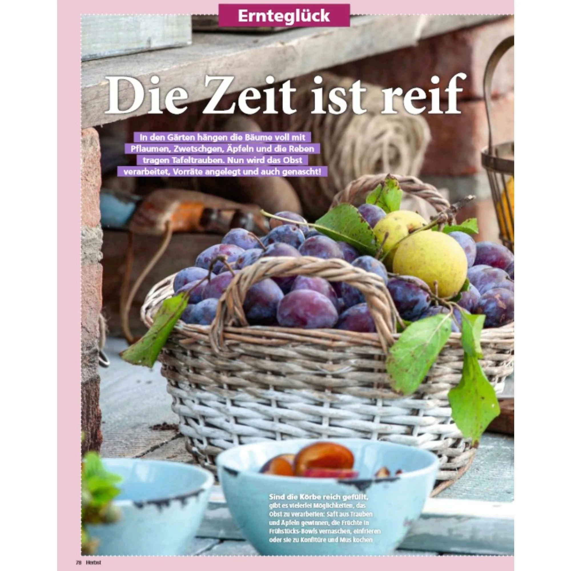 Zeitschrift Mein schöner Garten Spezial 'Herbstideen' 04/25 - Image 5