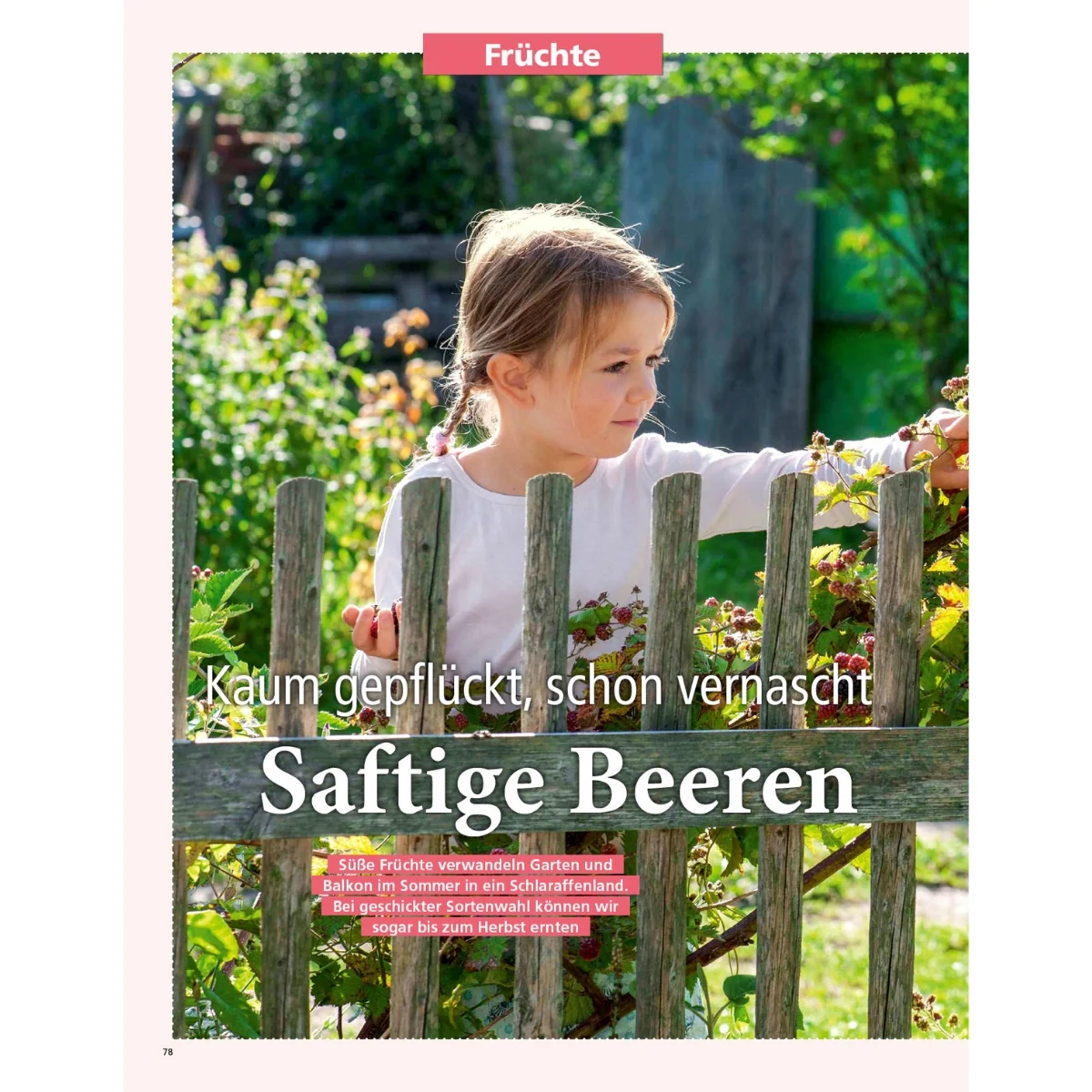Zeitschrift Mein schöner Garten Spezial 'Küchengarten' 01/26 - Image 3