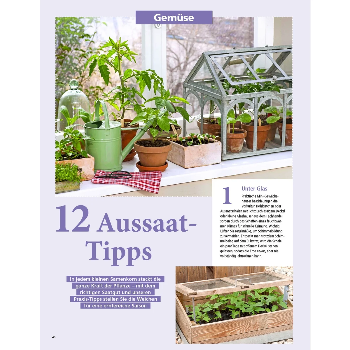 Zeitschrift Mein schöner Garten Spezial 'Küchengarten' 01/26 - Image 4