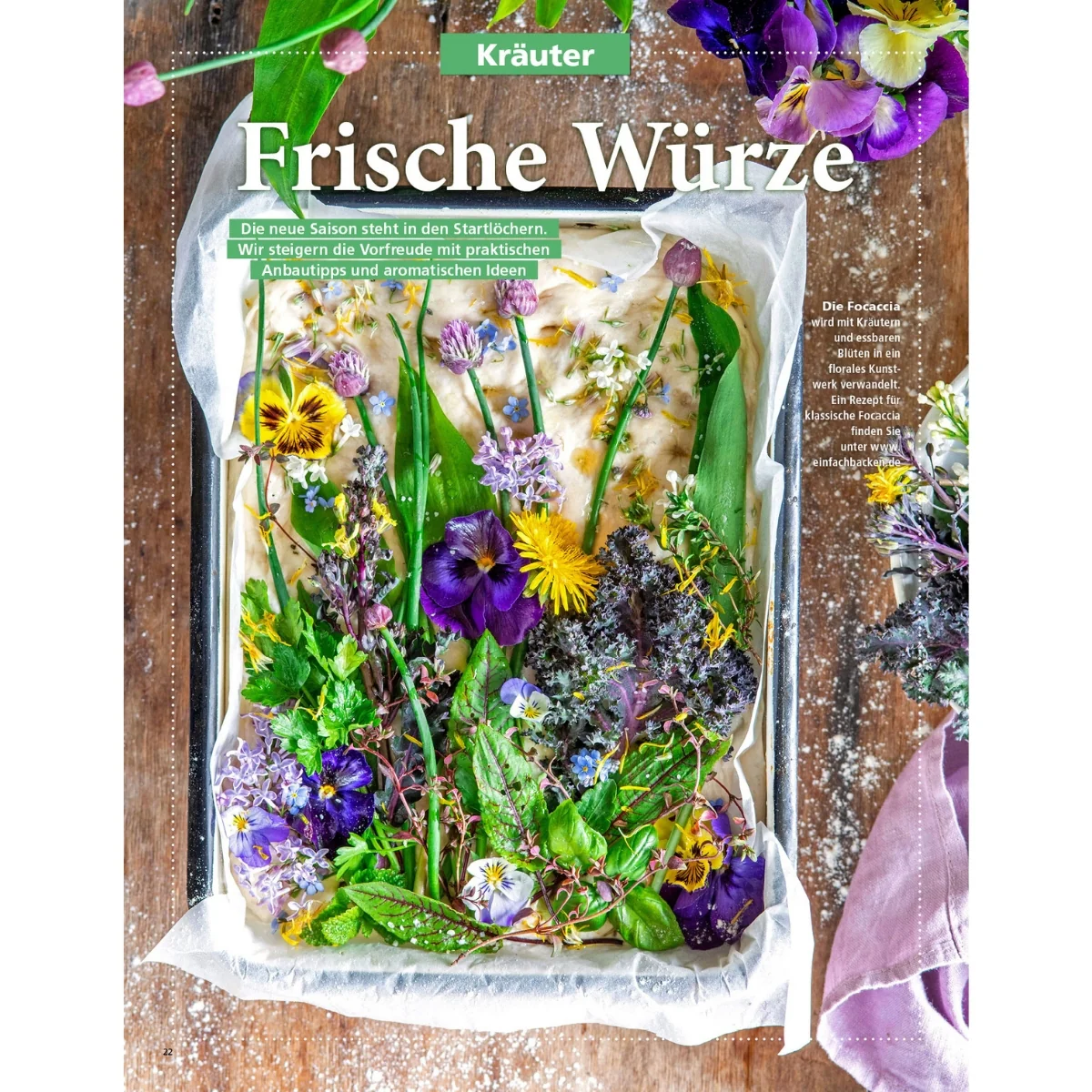 Zeitschrift Mein schöner Garten Spezial 'Küchengarten' 01/26 - Image 5