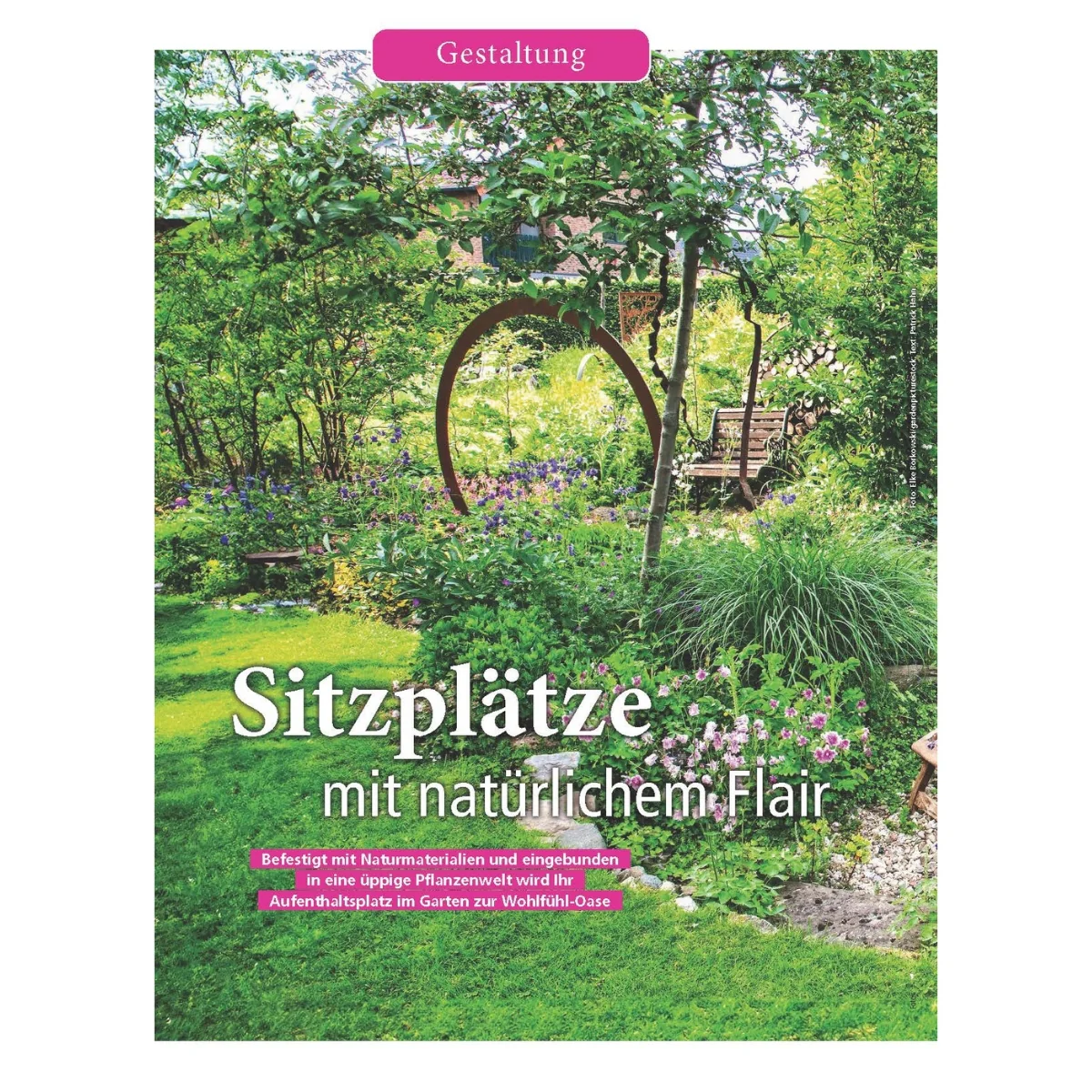 Zeitschrift Mein schöner Garten Spezial 'Naturgarten' 03/26 - Image 4