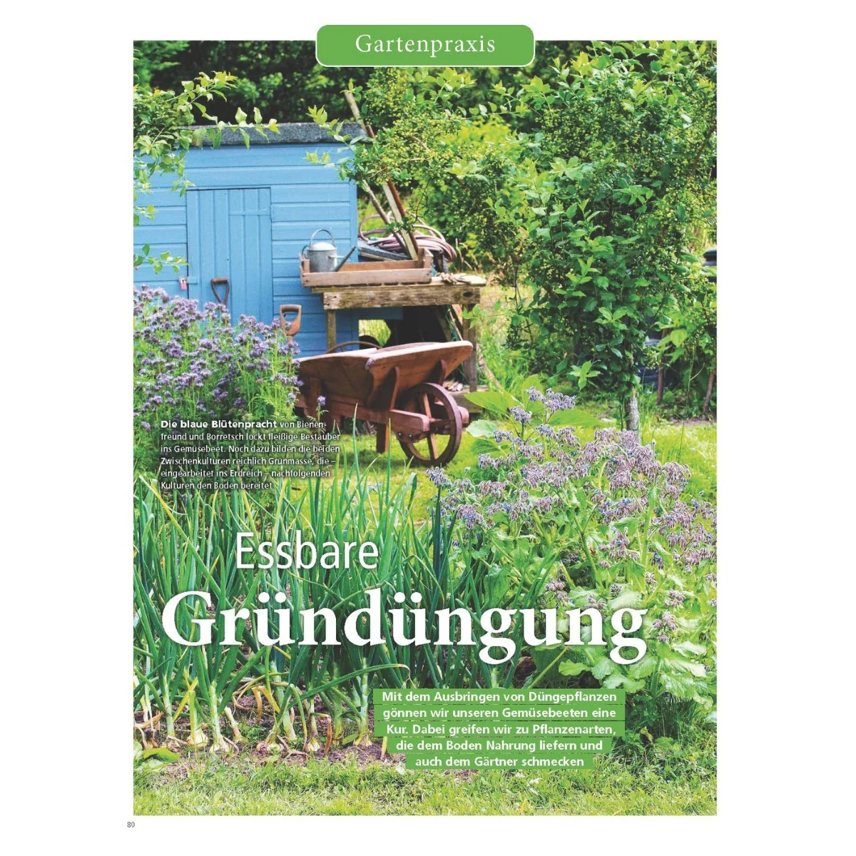 Zeitschrift Mein schöner Garten Spezial 'Naturgarten' 03/26 - Image 5