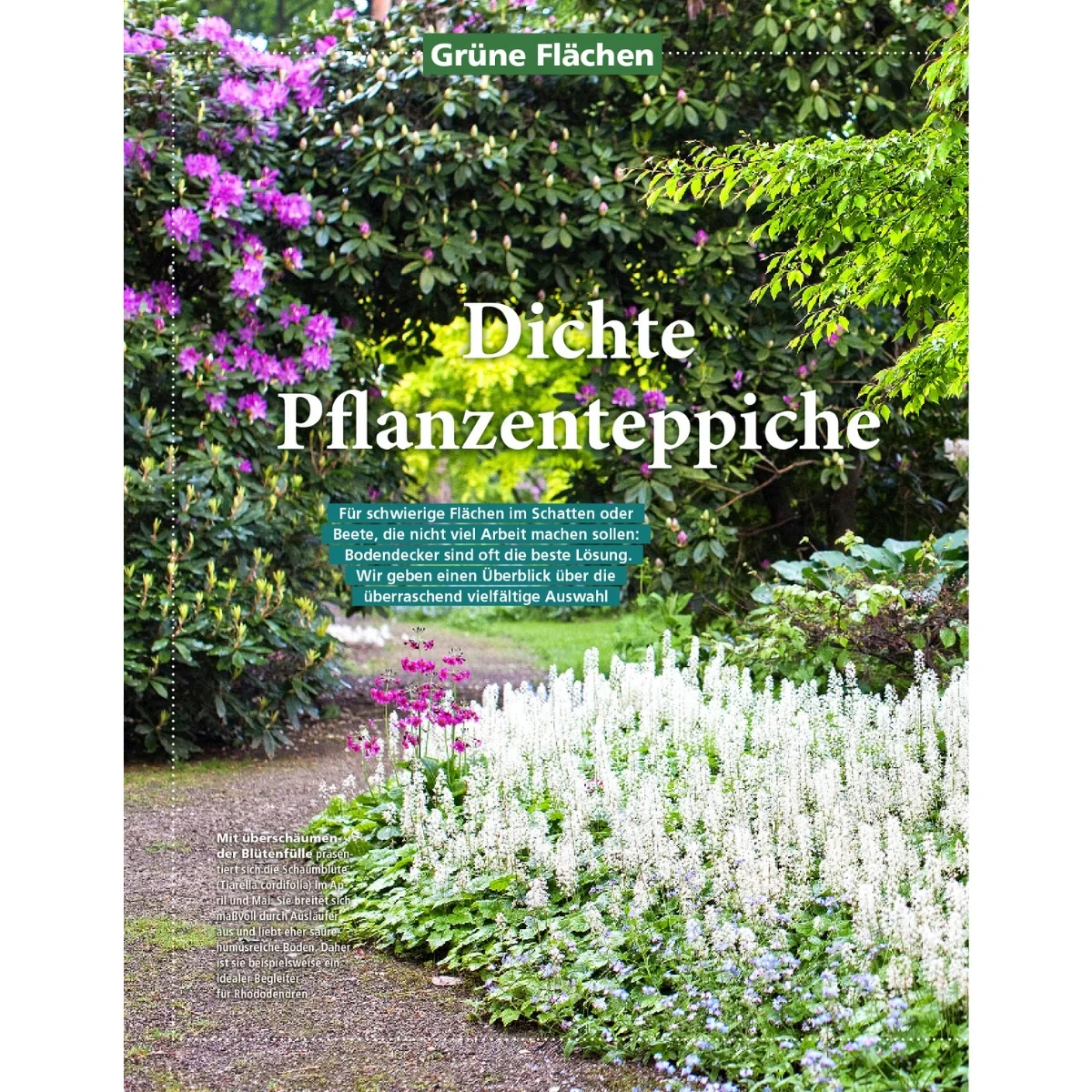Zeitschrift Mein schöner Garten Spezial 'Rasen & Wiese' 02/25 - Image 3